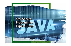 star secure programmer-java